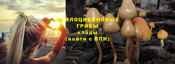а пвп мука Абдулино