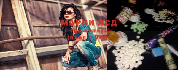 прущие грибы Абаза