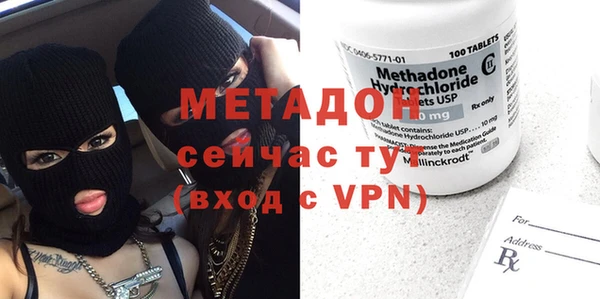 прущие грибы Абаза