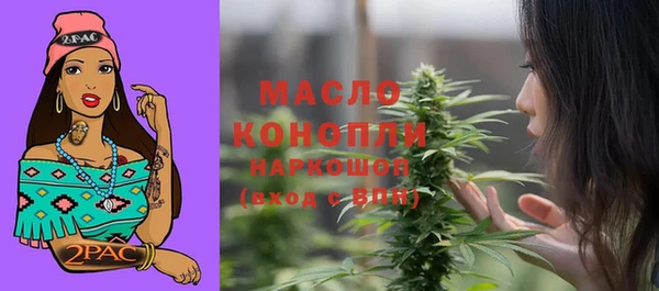 прущие грибы Абаза