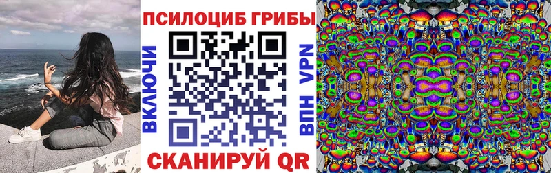 как найти закладки Туран Псилоцибиновые грибы Cubensis